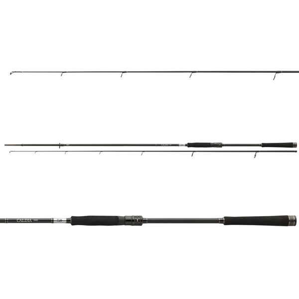 CALDIA JIGGERSPIN