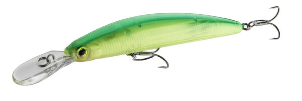 TOURNAMENT XL SHINER F