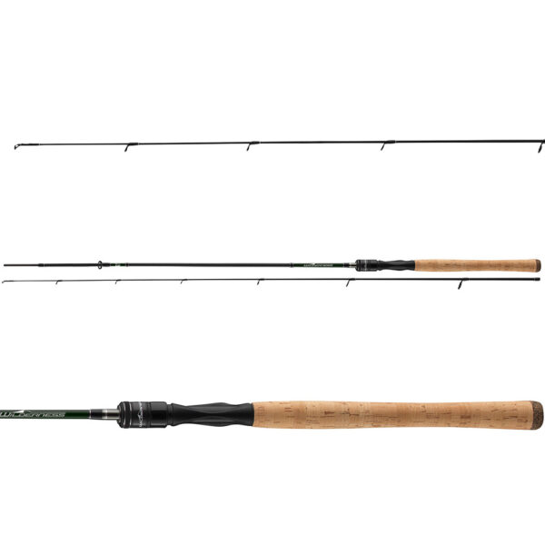 WILDERNESS TROUT