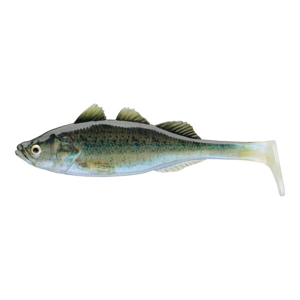PROREX LIVE PERCH BABY ZANDER
