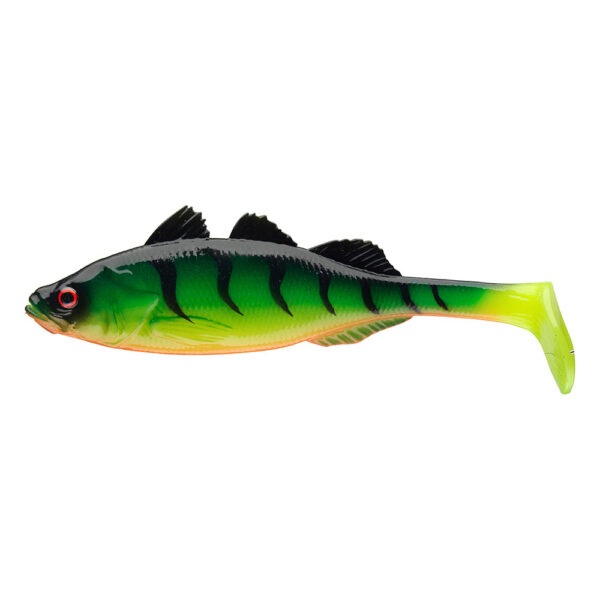 PROREX LIVE PERCH FIRETIGER DISPLAY-BOX