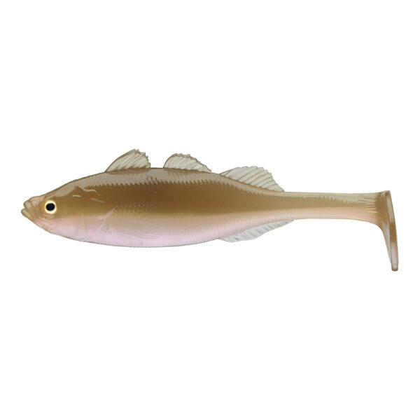 PROREX LIVE PERCH WAKASAGI DISPLAY-BOX